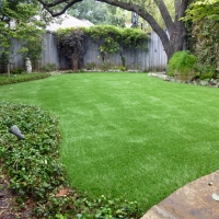 Artificial Grass Carpet Belvedere, California City Landscape, Backyard Makeover