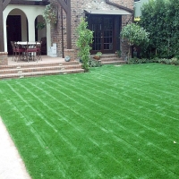 Artificial Grass Carpet Citrus, California Home And Garden, Front Yard Landscape Ideas