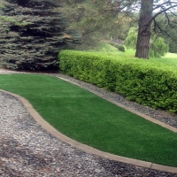 Artificial Grass Carpet Richgrove, California Landscaping Business