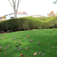 Artificial Grass Carpet Seal Beach, California Garden Ideas, Front Yard Landscape Ideas