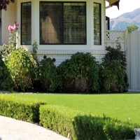 Artificial Grass Randsburg, California Landscaping Business, Front Yard Ideas