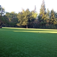 Artificial Turf Cost Avocado Heights, California Home And Garden, Recreational Areas