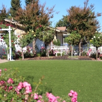 Artificial Turf Cost Valley Acres, California Home And Garden, Front Yard