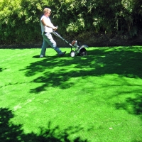 Artificial Turf Ocotillo, California Lawns, Backyard