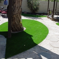 Artificial Turf Rubidoux, California Landscape Photos, Backyard Landscape Ideas