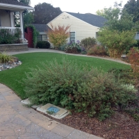 Best Artificial Grass Sunset Beach, California Gardeners, Front Yard Landscape Ideas