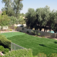 Fake Grass Canyon Lake, California Design Ideas, Backyard Garden Ideas