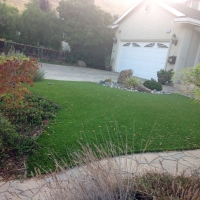 Fake Grass Carpet Allensworth, California Lawn And Garden, Front Yard