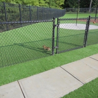 Fake Grass Carpet Irwindale, California City Landscape, Recreational Areas