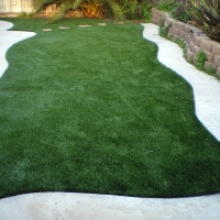 Fake Grass Carpet Quartz Hill, California Lawn And Garden, Backyards