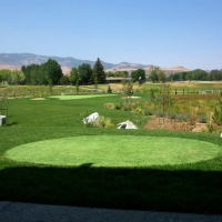 Fake Grass Santa Clarita, California Indoor Putting Greens, Backyard Makeover