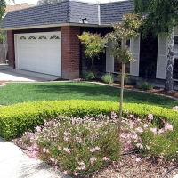 Fake Lawn Good Hope, California Backyard Playground, Front Yard Landscaping Ideas