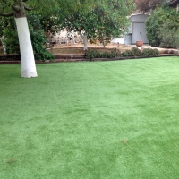 Fake Lawn Green Valley, California Garden Ideas, Backyard Landscaping