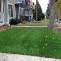 Fake Lawn Wildomar, California Landscape Ideas, Front Yard Landscape Ideas