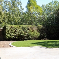 Fake Turf Harbison Canyon, California City Landscape, Backyard