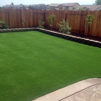 Grass Carpet Derby Acres, California Landscape Ideas, Backyard Designs