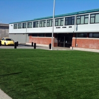 Grass Carpet , Landscaping, Commercial Landscape