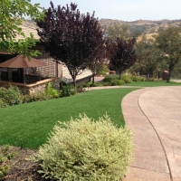 Grass Carpet Ontario, California Gardeners, Front Yard Landscaping