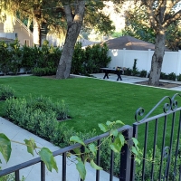 Grass Carpet West Whittier-Los Nietos, California Design Ideas, Small Front Yard Landscaping