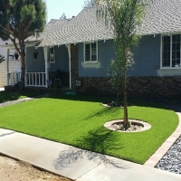 Grass Turf La Mesa, California Lawn And Garden, Front Yard Ideas