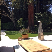 Grass Turf Montecito, California Lawn And Landscape, Backyard Design