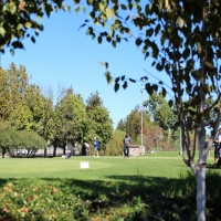 Green Lawn Camarillo, California Putting Green Grass