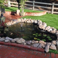 Lawn Services Placentia, California Landscaping, Backyards