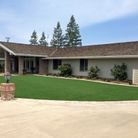 Lawn Services San Pedro, California Home And Garden, Front Yard Landscaping