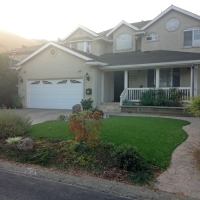 Outdoor Carpet Garden Grove, California Rooftop, Front Yard Design