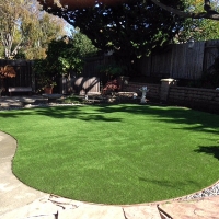 Outdoor Carpet Hermosa Beach, California Landscape Ideas, Backyard Ideas