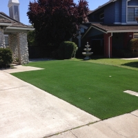 Outdoor Carpet Pomona, California Rooftop, Front Yard Ideas