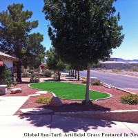 Plastic Grass , Backyard Playground, Front Yard Design