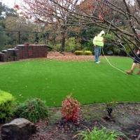 Plastic Grass Greenfield, California Rooftop, Backyard Makeover