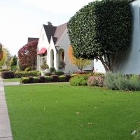 Plastic Grass La Puente, California City Landscape, Small Front Yard Landscaping