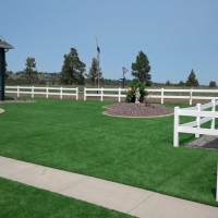 Plastic Grass North Hollywood, California Landscaping, Backyard Landscape Ideas