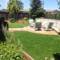 Plastic Grass Shafter, California Landscape Photos, Backyard