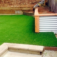 Synthetic Grass Chatsworth, California Design Ideas, Backyards