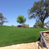 Synthetic Grass Cost Lakeland Village, California Backyard Playground, Front Yard