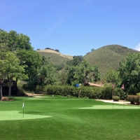 Synthetic Grass Home Gardens, California City Landscape, Front Yard