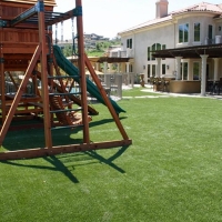 Synthetic Grass Placentia, California Athletic Playground, Backyard Design