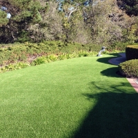 Synthetic Grass Rosemead, California Lawns, Small Front Yard Landscaping