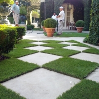 Synthetic Lawn Darwin, California Landscaping Business, Pavers