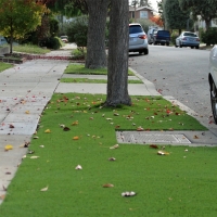 Synthetic Turf Rowland Heights, California Home And Garden, Front Yard Ideas