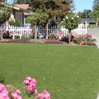 Synthetic Turf Vista Santa Rosa, California Landscape Ideas, Front Yard Landscaping Ideas