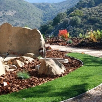 Turf Grass East Los Angeles, California Backyard Playground, Front Yard Landscaping Ideas