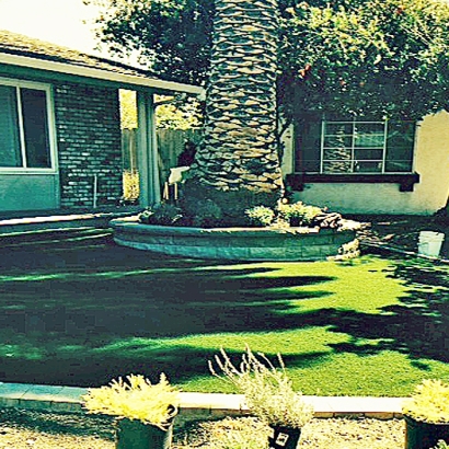 Artificial Grass Beaumont, California Design Ideas, Front Yard Landscaping Ideas