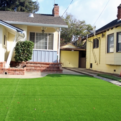 Artificial Grass Carpet Dana Point, California Landscaping Business, Small Front Yard Landscaping