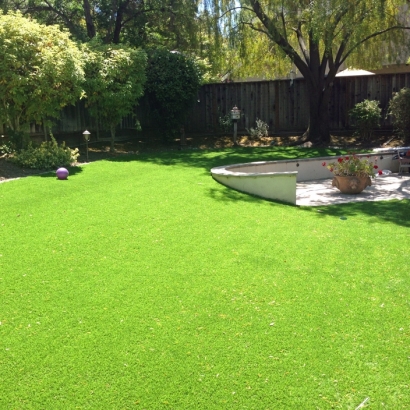 Artificial Grass Carpet Garden Grove, California Home And Garden, Backyard Ideas