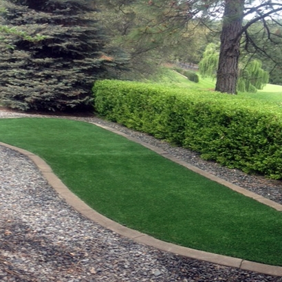 Artificial Grass Carpet Richgrove, California Landscaping Business