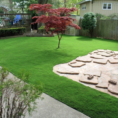 Artificial Grass Carpet West Hollywood, California Rooftop, Backyard Makeover